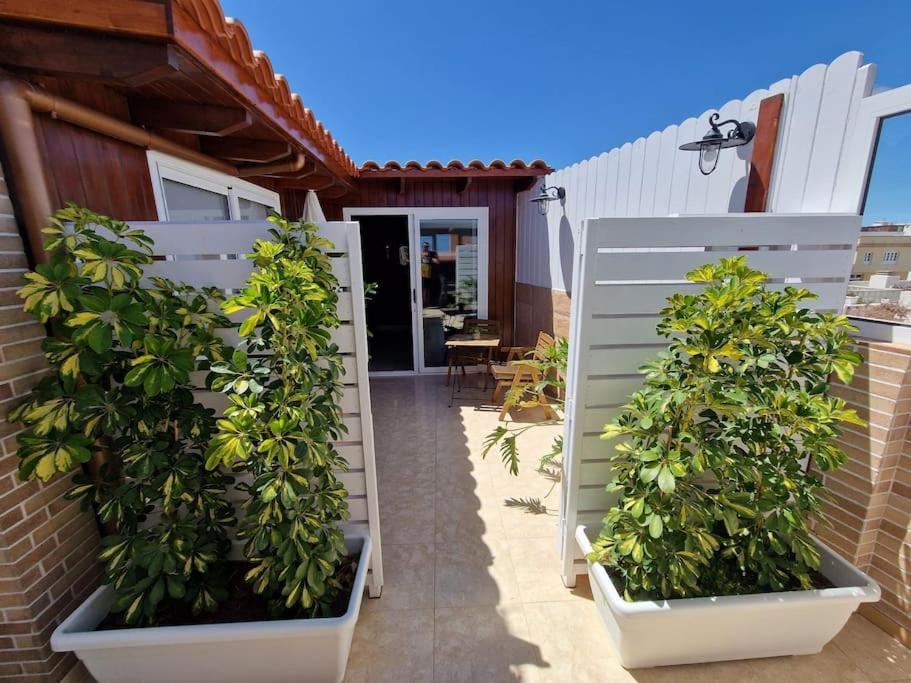 Vintage & Deluxe Apartments Puerto del Rosario  Eksteriør bilde